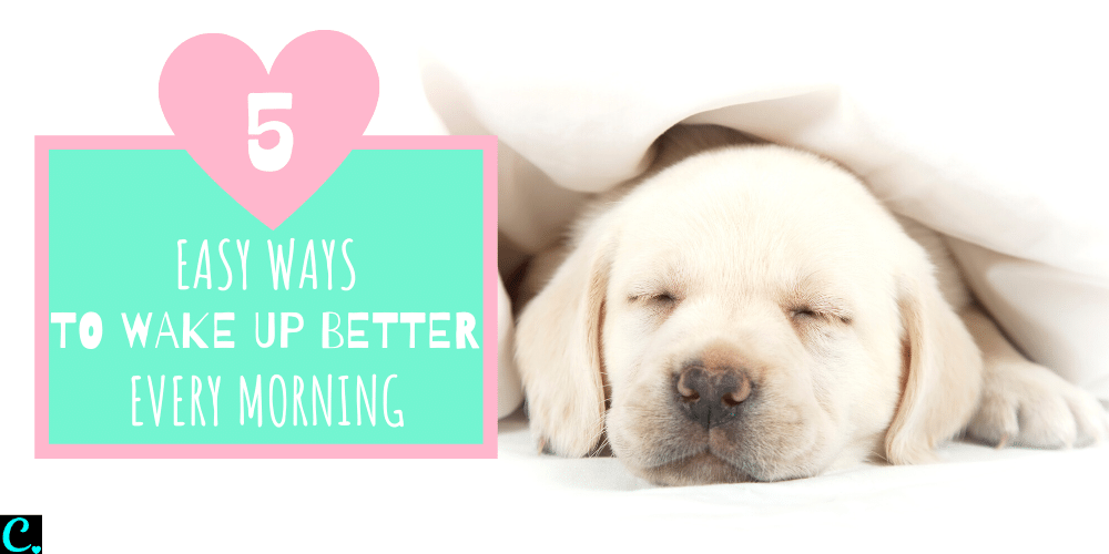 Wake Up Better