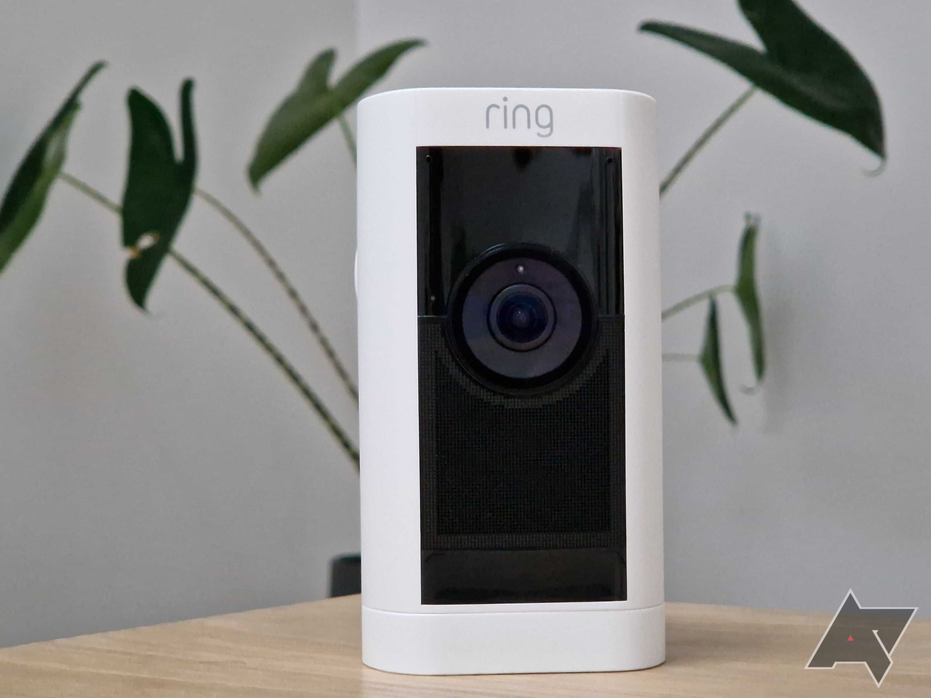 Best Smart Cameras for Office Surveillance: Ring vs. Wyze